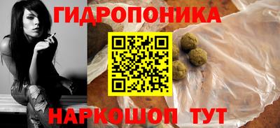 крисы Дубна