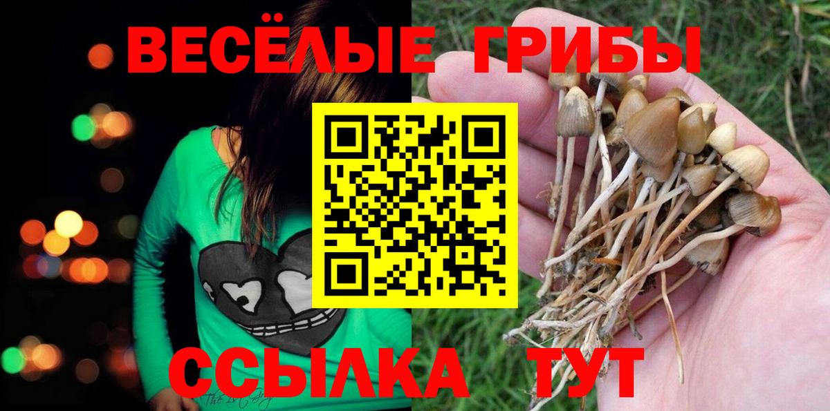Галлюциногенные грибы ЛСД Мурино