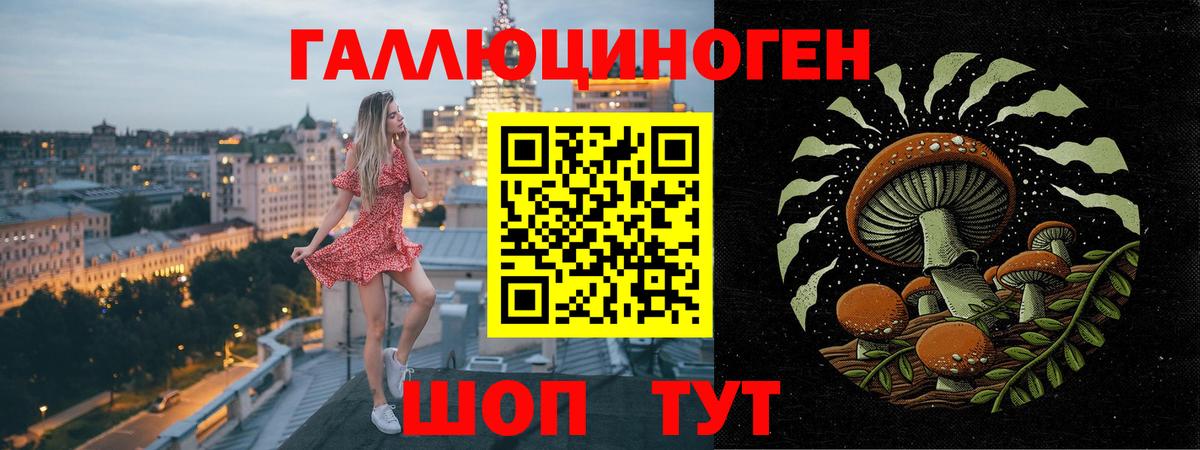 Мурино  Галлюциногенные грибы Psilocybe  Вход с VPN  Галлюциногенные грибы мухоморы 
